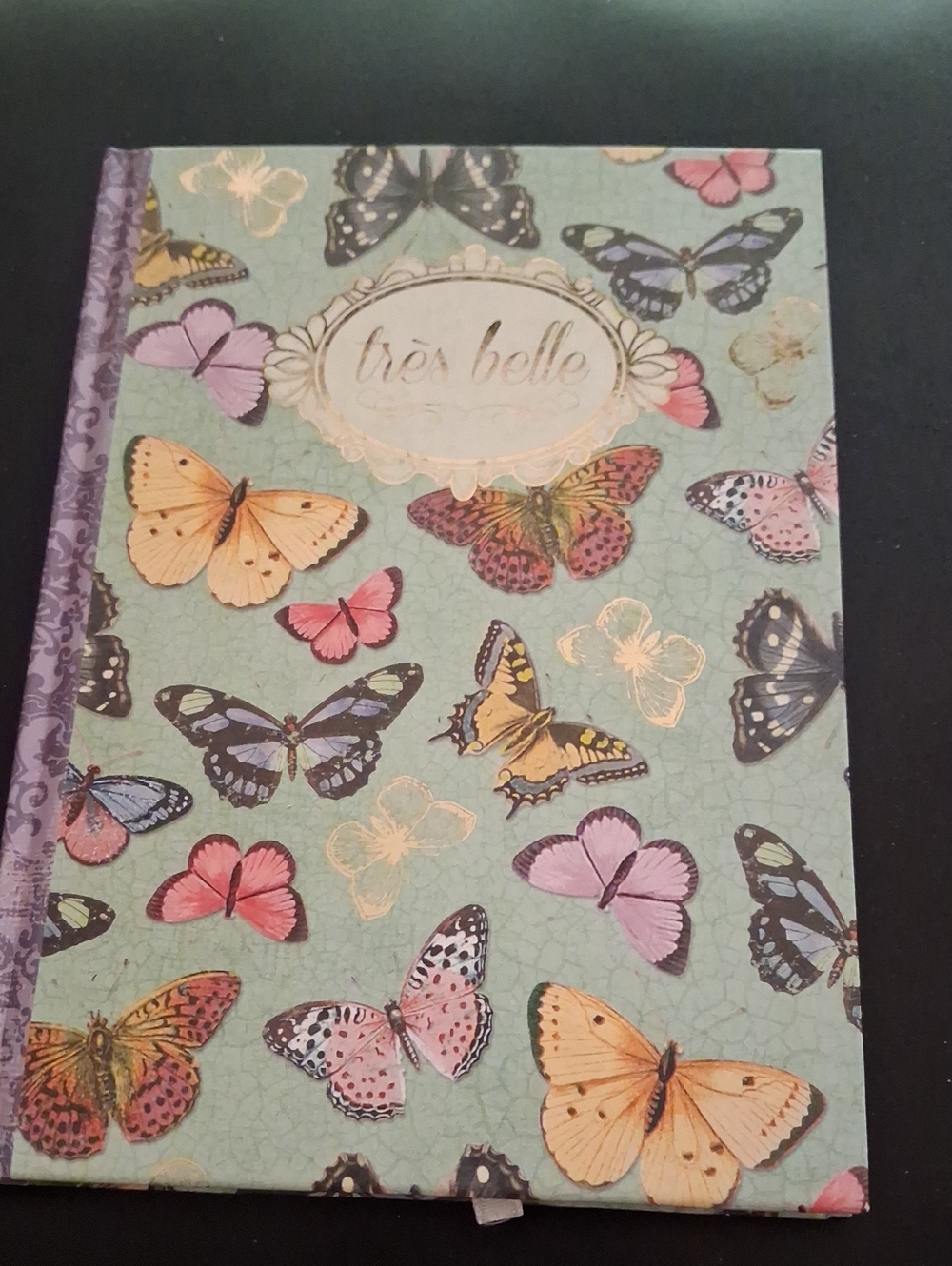 Butterfly Hardcover Journal in Mint and Pastel Colors